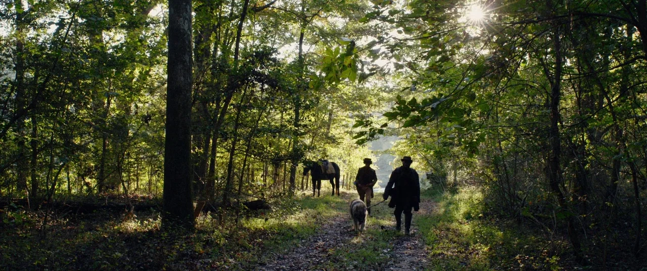 Harriet movie still: wide — A sun-dappled path winds through a thick, lush deciduous woodland in autumn. Two men walk along the trail accompanied by…
