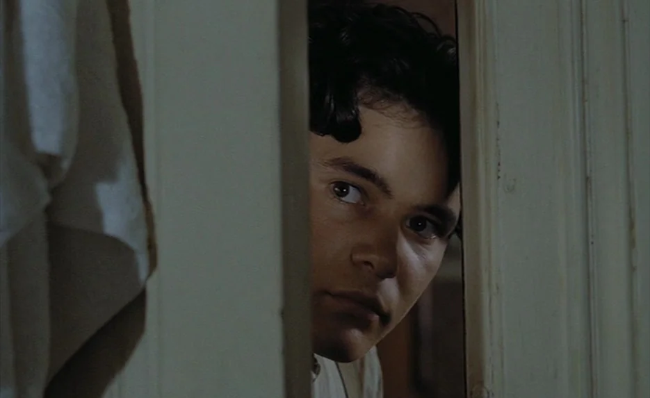 Lacombe, Lucien (1974) movie still: closeup — A man peers through the vertical gap of a slightly ajar wooden door. The face of the subject is…