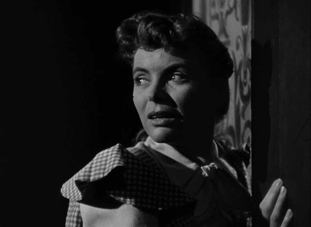 The Spiral Staircase (1946) movie still: closeup — A dimly lit area with dark walls and a patterned vertical border near the subject. A woman looks…