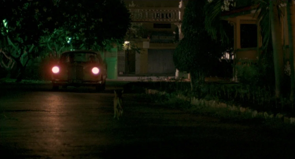 The Killing Fields (1984) movie still: wide — A dark night driveway is lit by the intense headlights of an approaching car. A lone cat is positioned…