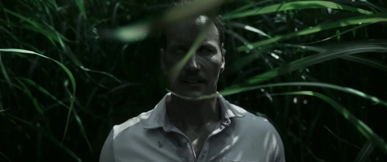 In The Tall Grass (2019) movie still: medium — A middle-aged man stands partially obscured by dense stalks of tall green grass. He faces forward…