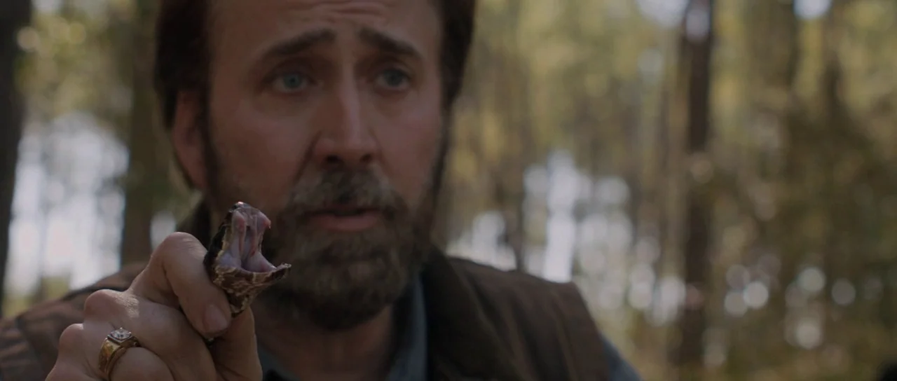Joe (2013) movie still: closeup — A wooded area with out-of-focus trees and foliage in the background. A man holds a small snake with its mouth open…