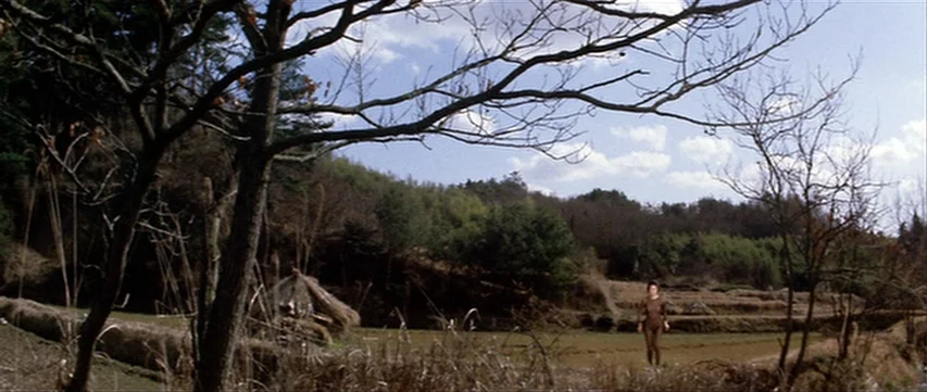 Lone Wolf: Baby Cart at the River Styx (1972) movie still: wide — A rural landscape features terraced fields, leafless trees, and a small thatched…