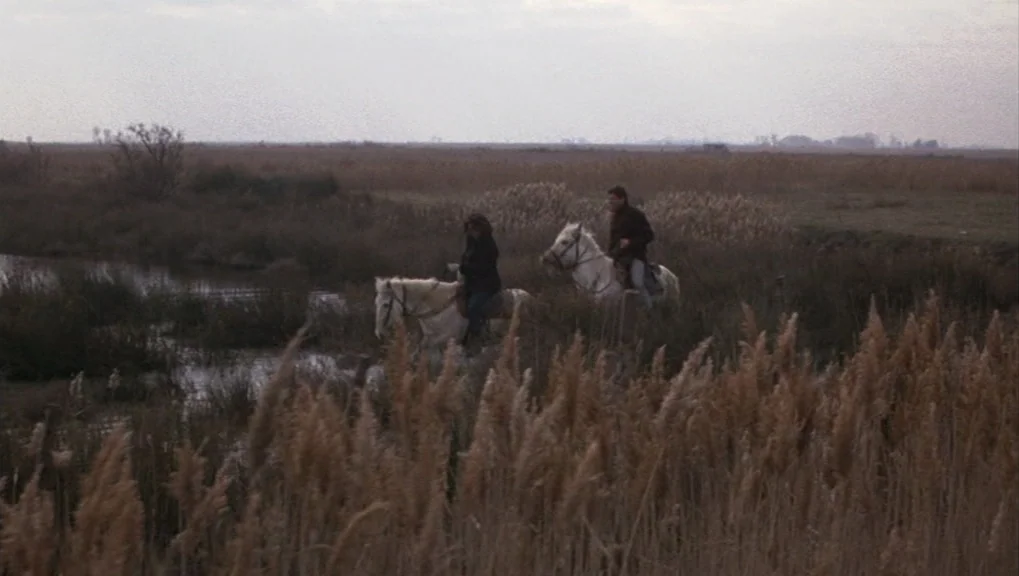 Un Homme et Une Femme (1966) movie still: wide — A vast, flat, marshy landscape is filled with tall reeds and shallow water pools. Two riders on…