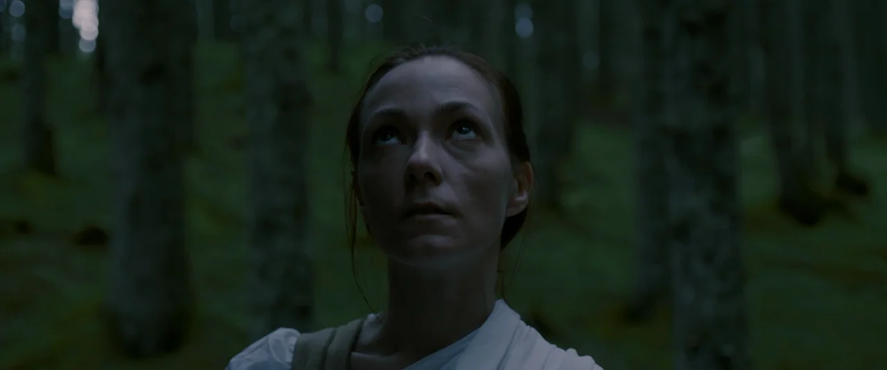 Hagazussa (2017) movie still: closeup — A dark forest environment features mossy ground and tall, dimly lit tree trunks. A woman stands among the…