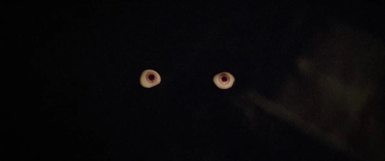 House By The Cemetery (1981) movie still: closeup — A dark, empty space with no visible surroundings or environmental details. Two human-like eyes…