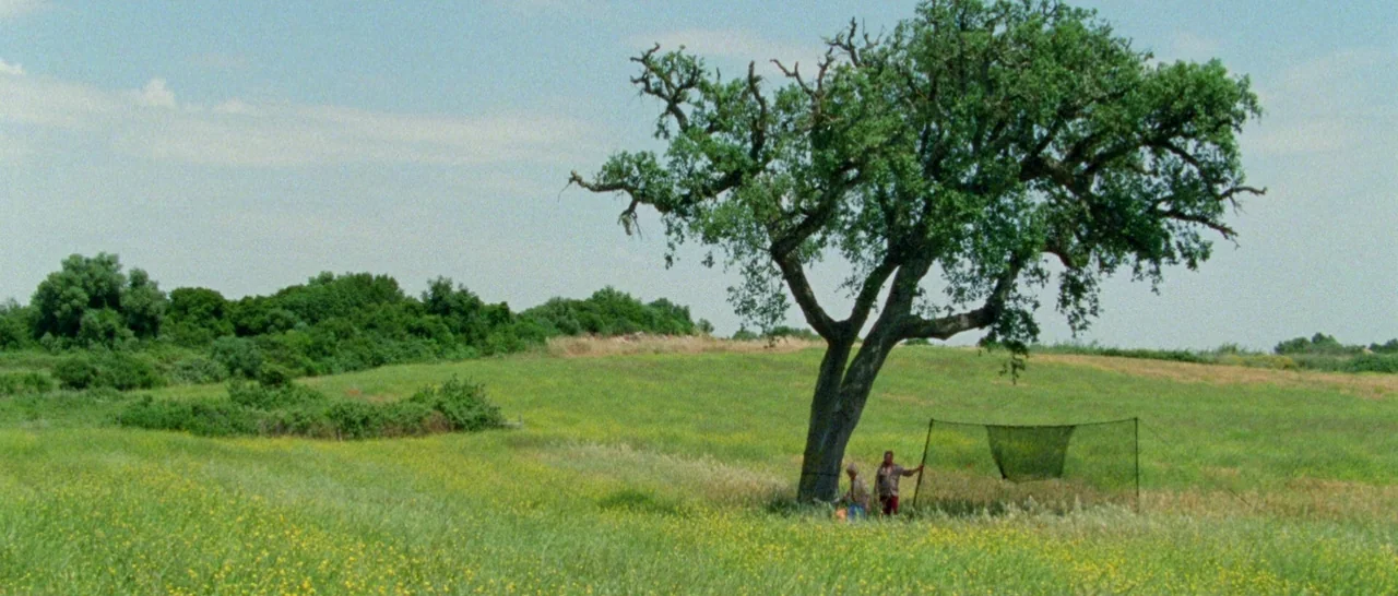 Arabian Nights: Volume 3 The Enchanted One (2015) movie still: wide — An expansive green meadow features a large oak tree and distant thickets. Two…