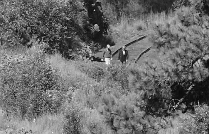Fando y Lis (1968) movie still: wide — Overgrown abandoned railway tracks pass through a wooded area with tall, dry wild grasses. Two men walk side…