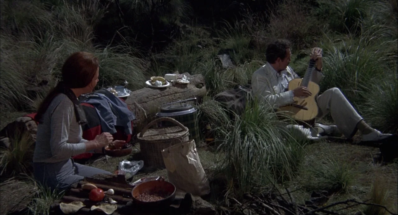 Bring Me The Head of Alfredo Garcia (1974) movie still: wide — Two people have a picnic in a grassy field surrounded by tall wild grass. A woman…