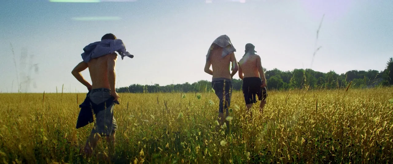 Kings Of Summer (2013) movie still: wide — An open golden field of tall grass stretches toward a distant line of trees. Three shirtless young men…