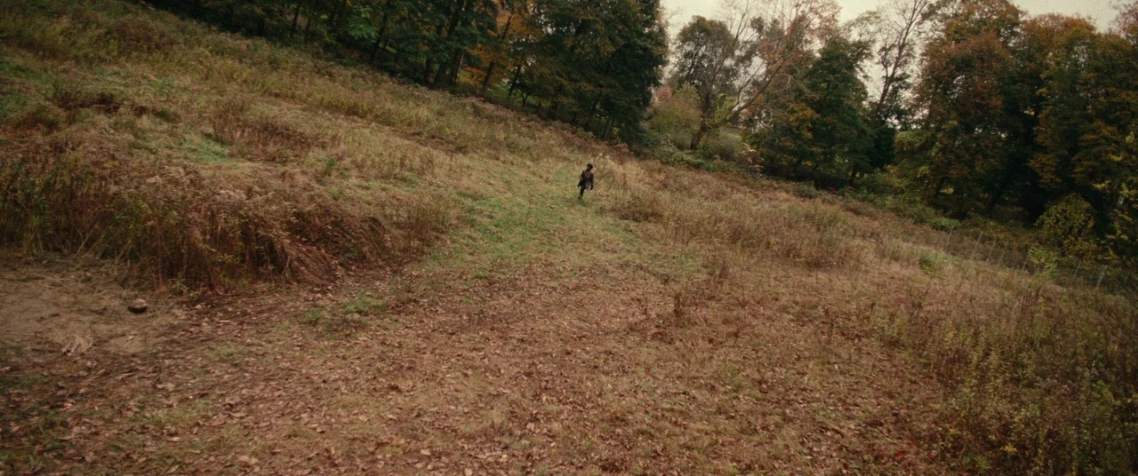 BlacKkKlansman (2018) movie still: wide — A wide, sloping meadow with patches of dry brown grass and scattered leaves. A lone figure stands small in…