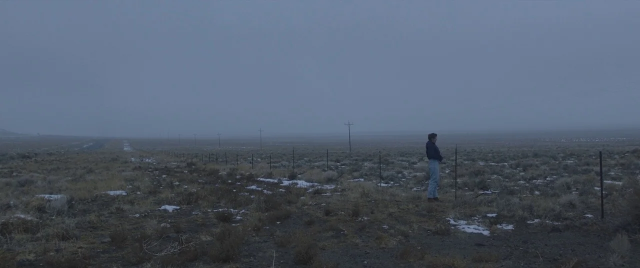 Nomadland (2020) movie still: wide — A vast, flat high desert landscape under a heavy overcast sky with patches of snow. A person stands alone…
