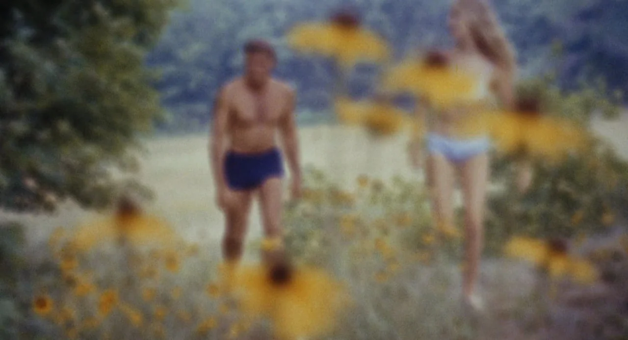 The Swimmer (1968) movie still: fullbody — A sunlit meadow filled with tall yellow flowers stretches into the distance. A man and a woman walk…