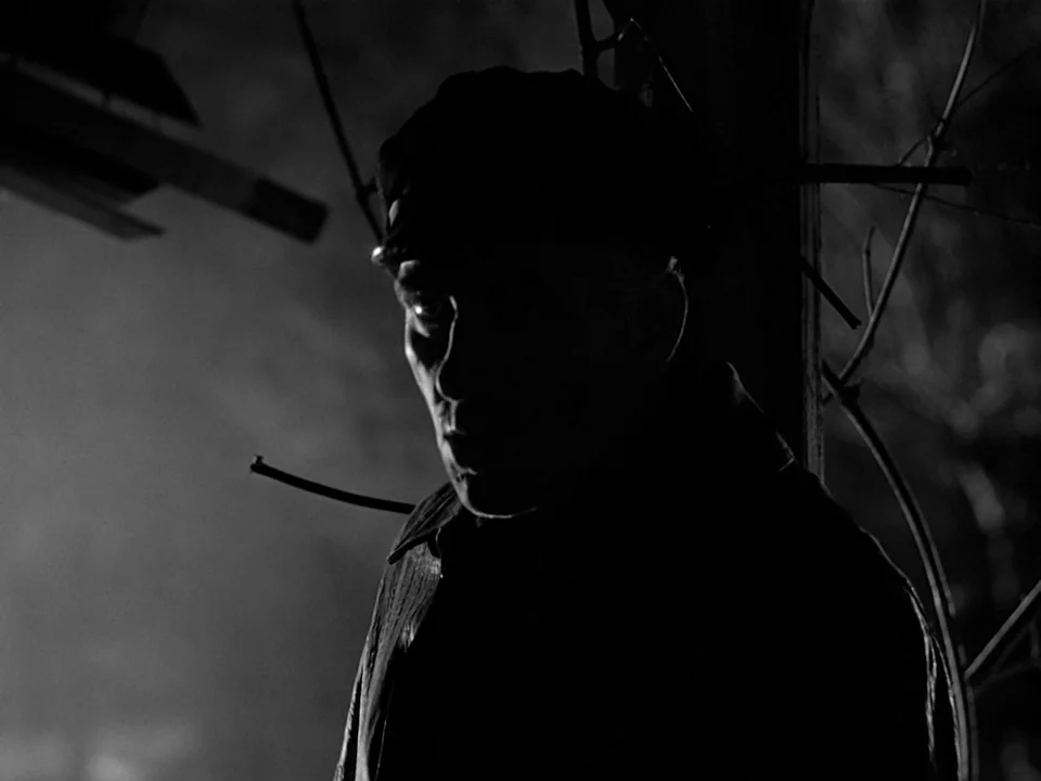 It’s A Wonderful Life (1946) movie still: closeup — A dark outdoor space with tangled bare tree branches intersecting the frame. A man looks toward…