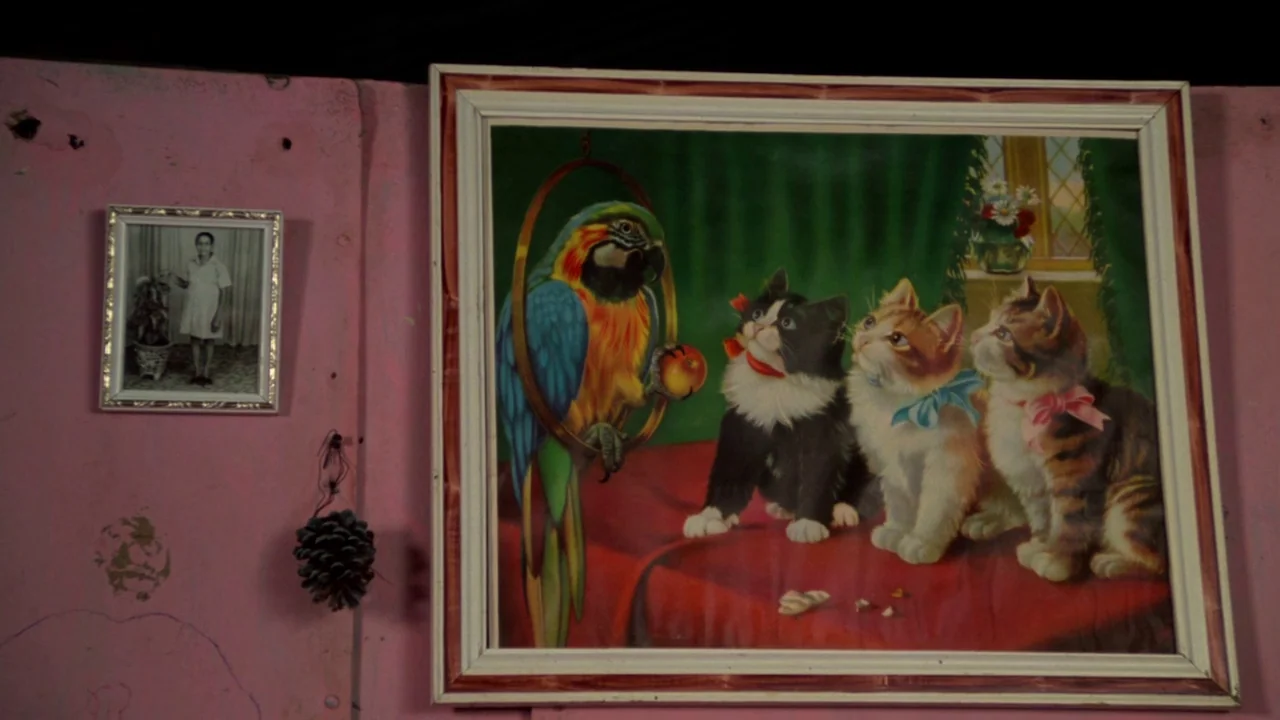 Sorcerer (1977) movie still: medium — A pink wall displays a large framed painting of a parrot and kittens alongside a black-and-white photograph. A…