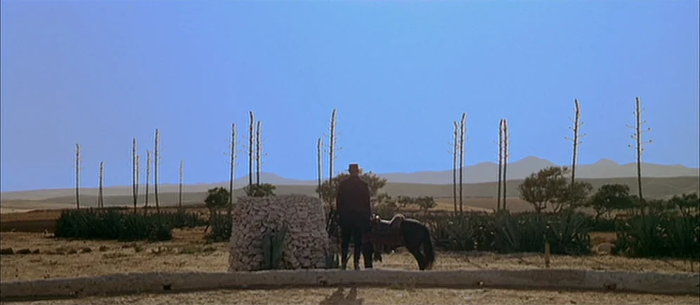 For A Few Dollars More (1965) movie still: wide — An arid, sun-drenched landscape features sparse vegetation and numerous tall, thin plant stalks. A…