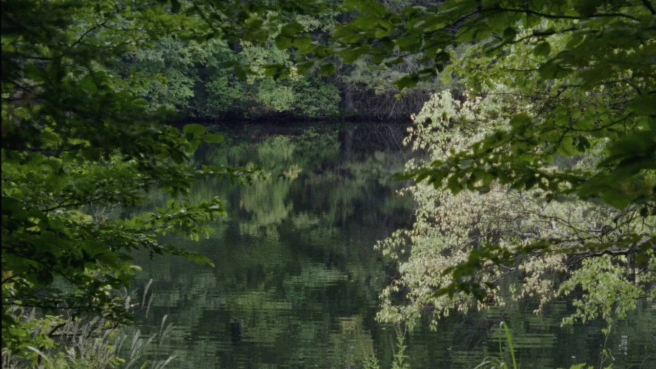 Queen of Earth (2015) movie still: establishing — A dark, still body of water is surrounded by lush, dense deciduous trees. Tree branches form a…