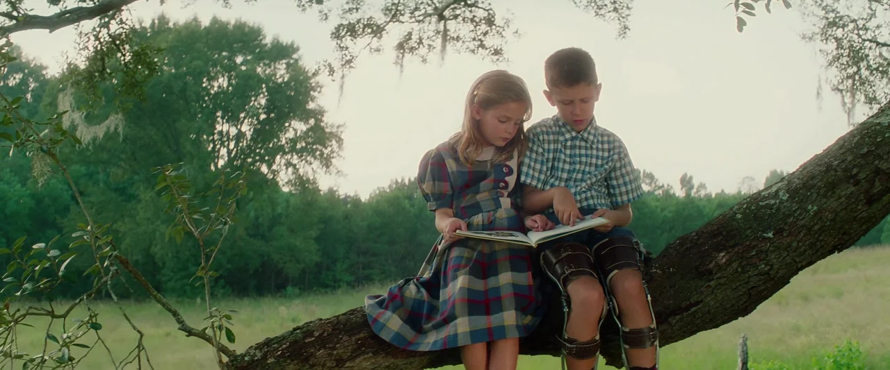 Forrest Gump (1994) movie still: medium — Two children sit together on a large tree branch in a grassy field. They look down at an open book held…