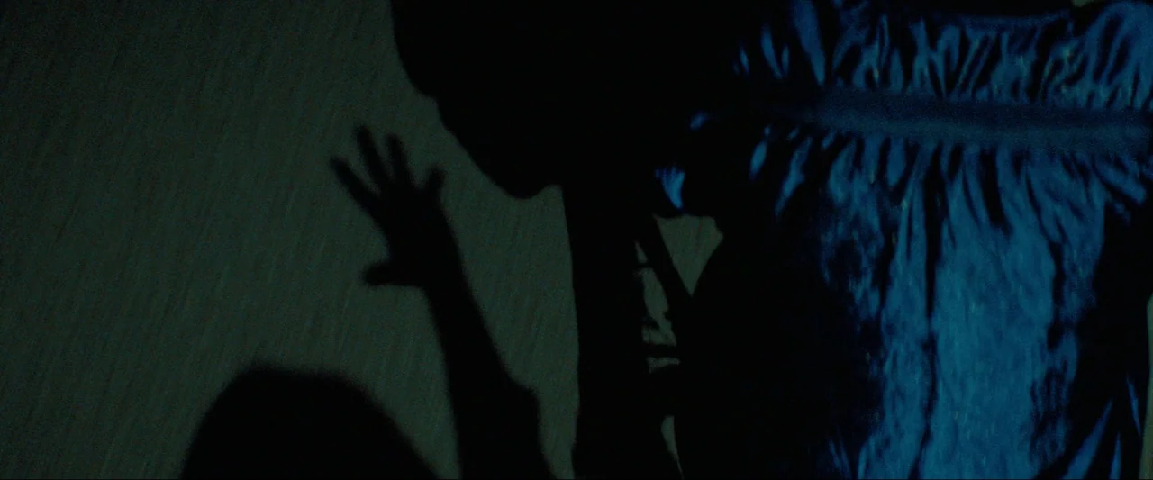 Cuckoo (2024) movie still: closeup — A dark space shows a human silhouette against a dimly lit textured wall. The subject raises one hand toward the…