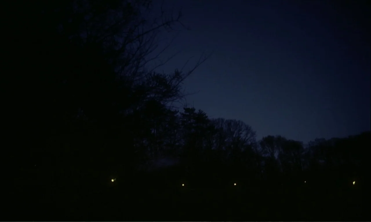The Brutalist (2024) movie still: establishing — A dark, silhouetted tree line stretches across the horizon under a midnight sky. Small distant…