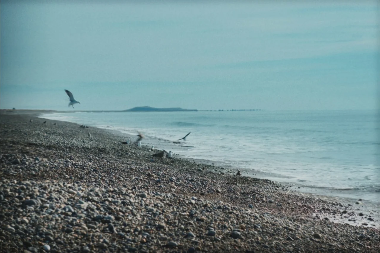 The Settlers (2023) movie still: wide — A vast pebble beach meets a calm ocean under a pale, overcast sky. Seagulls congregate on the shoreline…