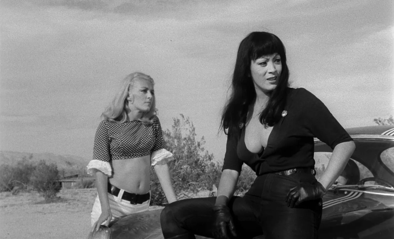 Faster, Pussycat! Kill! Kill! (1965) movie still: fullbody — An arid desert landscape features sparse dry shrubs under a cloudy daylight sky. Two…