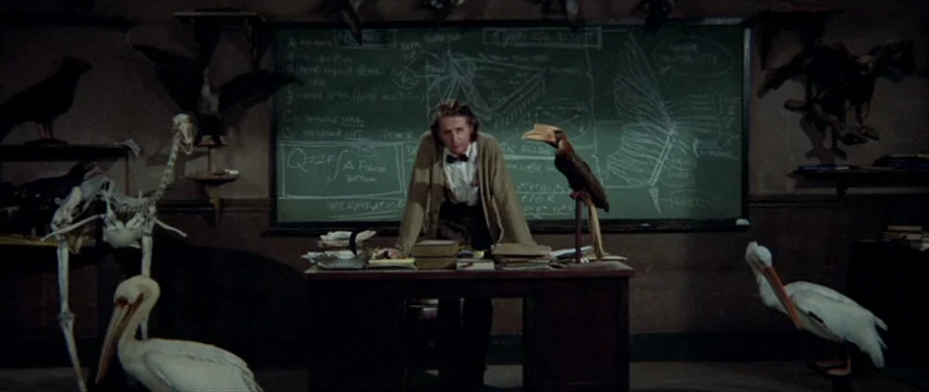 Brewster McCloud (1970) movie still: medium — A taxidermy workshop is filled with stuffed birds, skeletons, and a large chalkboard diagram. A man in…