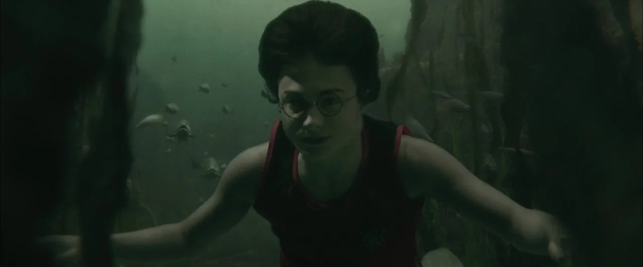 Harry Potter and the Goblet of Fire (2005) movie still: medium — Murky underwater environment featuring dense weeds and small swimming fish. A…