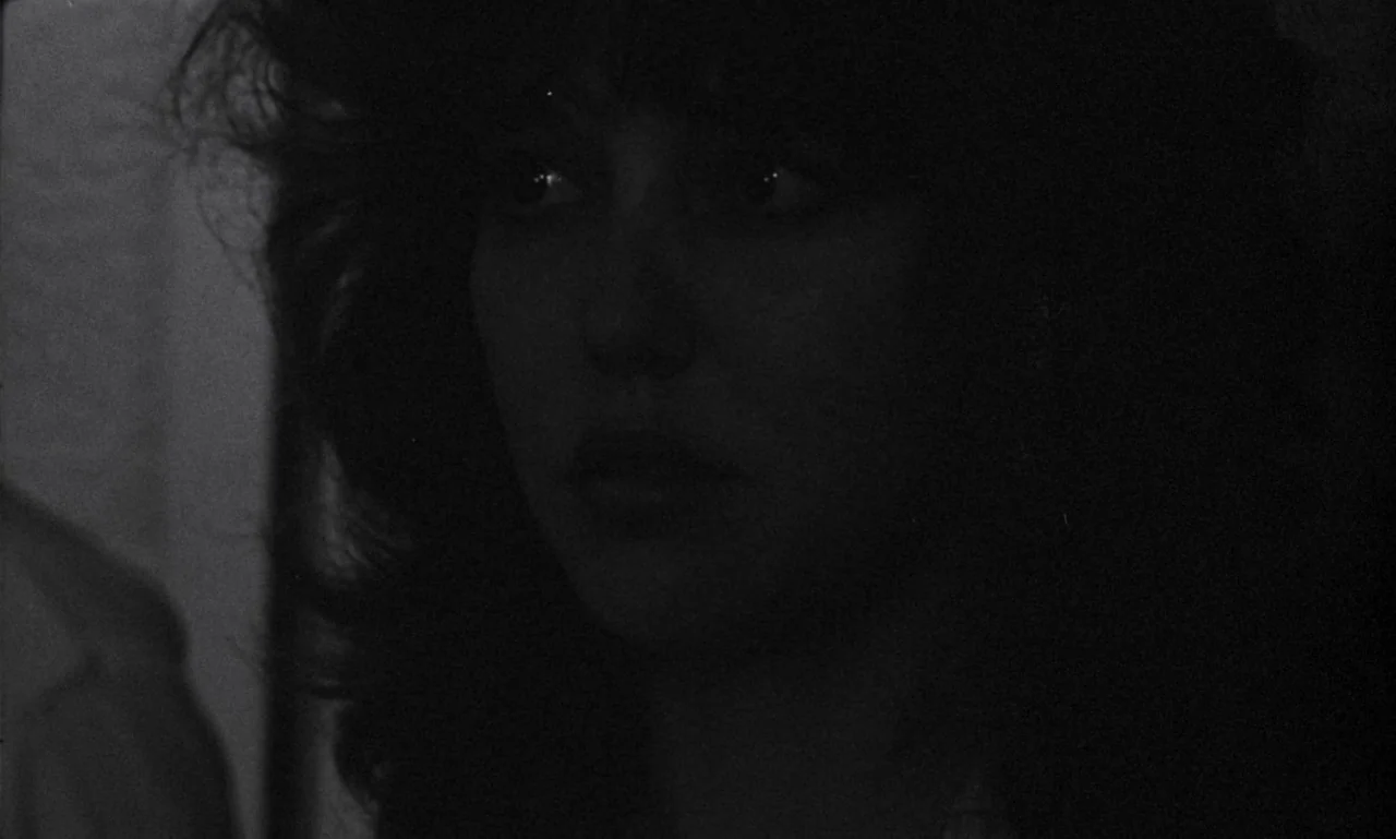 The Secret Son (1979) movie still: closeup — A dimly lit interior space with a person partially obscured by dense shadow. The woman looks toward the…