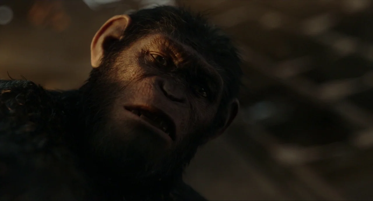 Dawn of the Planet of the Apes (2014) movie still: closeup — A dark, dimly lit environment with indistinct textures in the shadows behind the…
