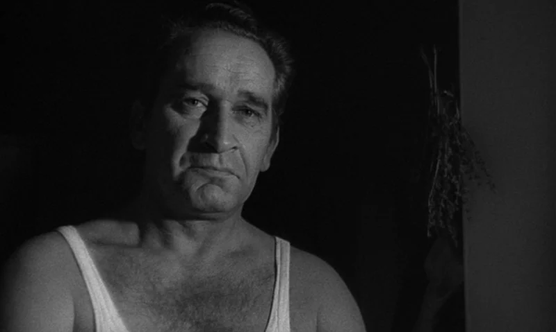 Man Is Not Bird (1965) movie still: closeup — A dark space with a person visible against a plain background surface. A man in a white tank top looks…