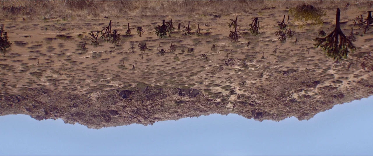 The Nowhere Inn (2020) movie still: establishing — A wide desert landscape features scattered Joshua trees across rocky, sun-baked terrain. The dry…
