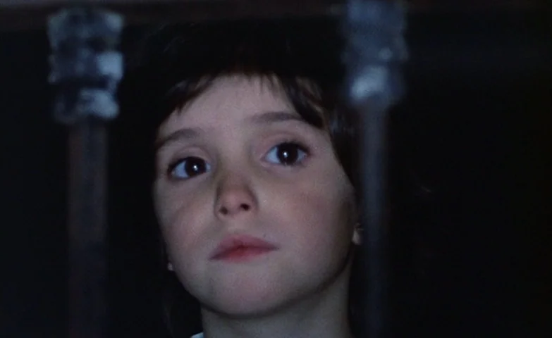 Spirit Of The Beehive (1973) movie still: closeup — A dark, shadowed space features metal banister railings framing a child's face. The child stares…