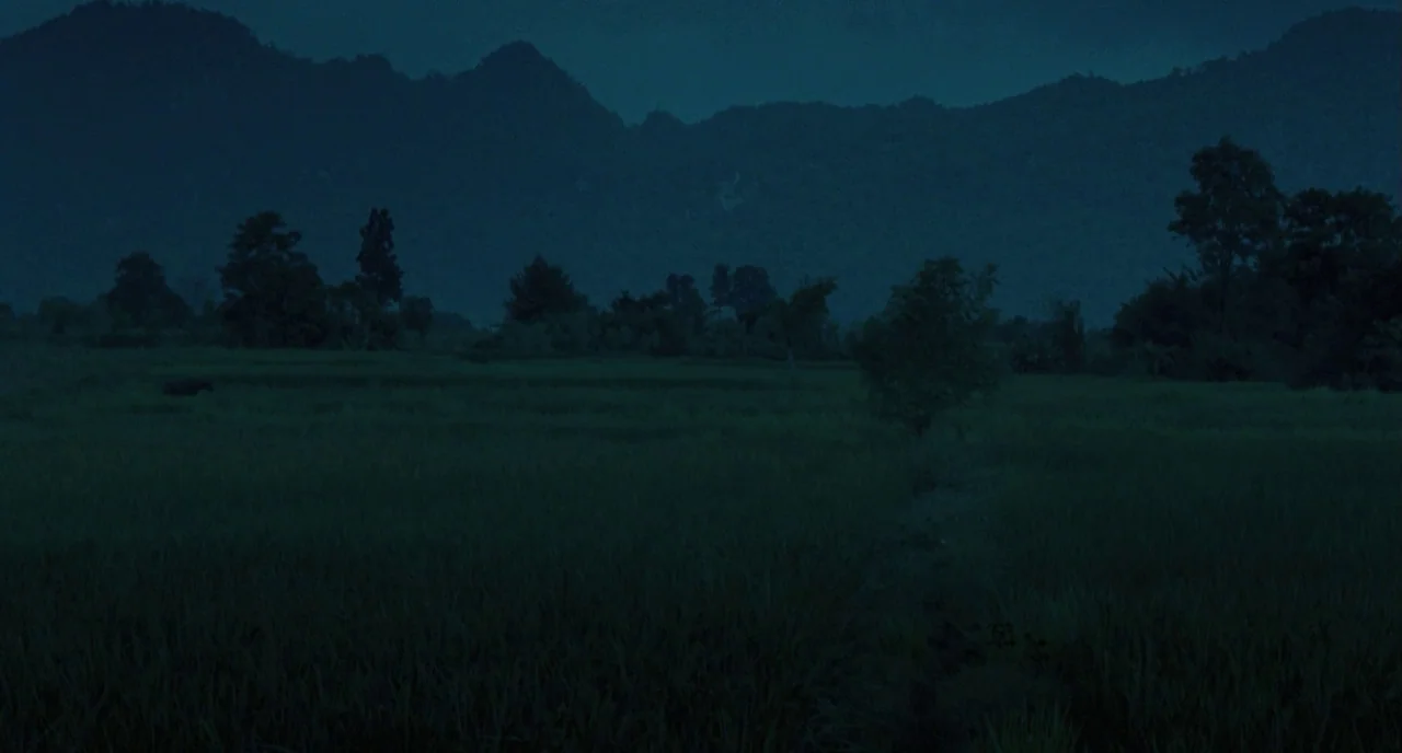 Uncle Boonme Who Can Recall His Past Lives (2010) movie still: establishing — A dark field stretches toward large, silhouetted mountains under a…