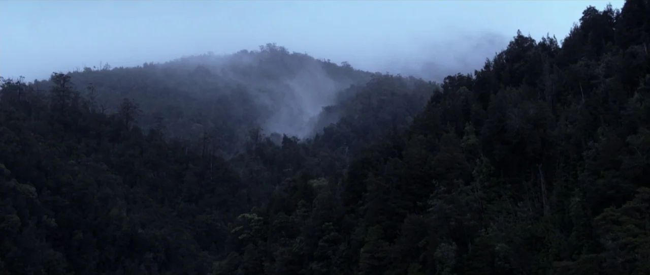 Dense evergreen trees cover the slopes of a mountain under a light fog. Low clouds cling to the peaks as the sun begins to rise.