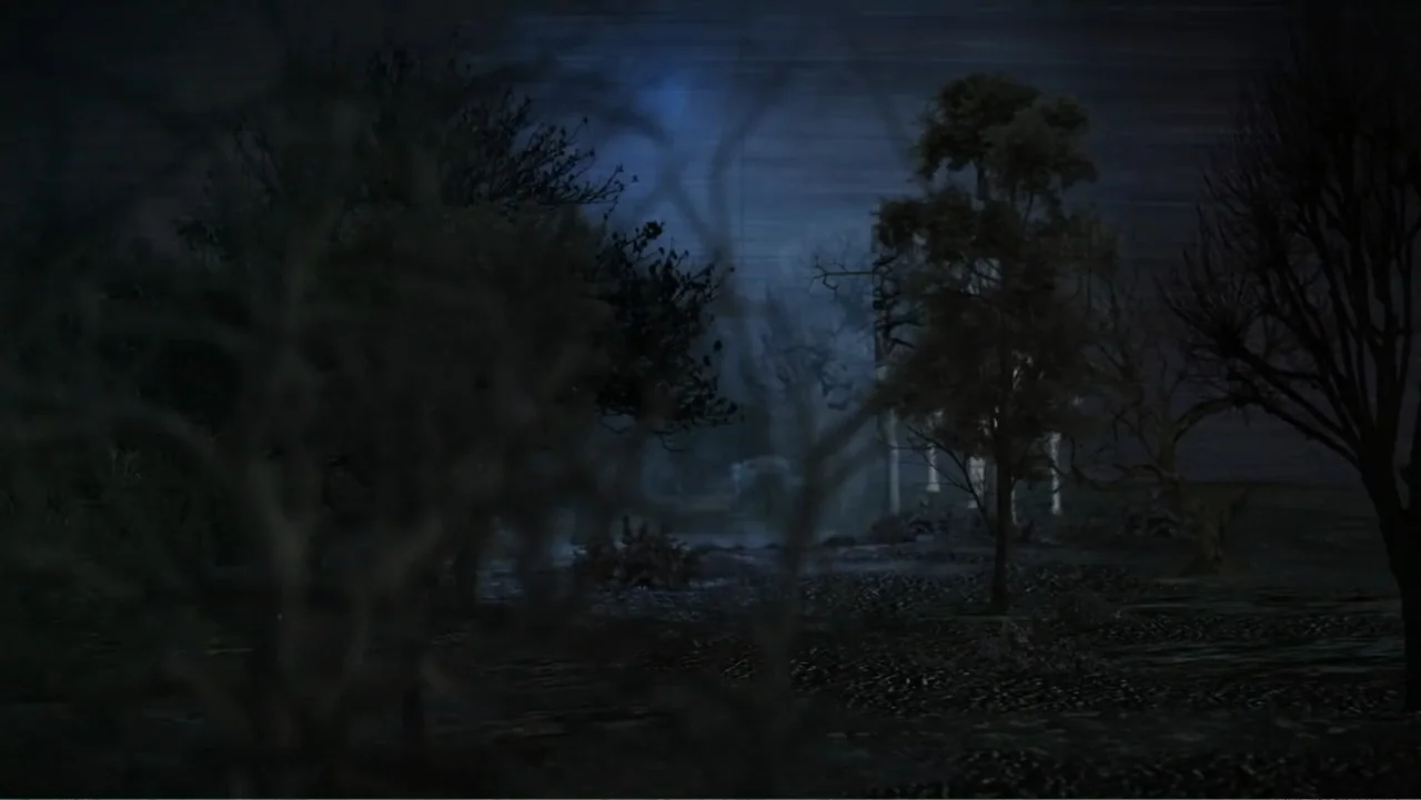 Inland Empire (2006) movie still: establishing — A dark, dense forest area is captured during the night with leafless trees. Thick fog hangs low to…