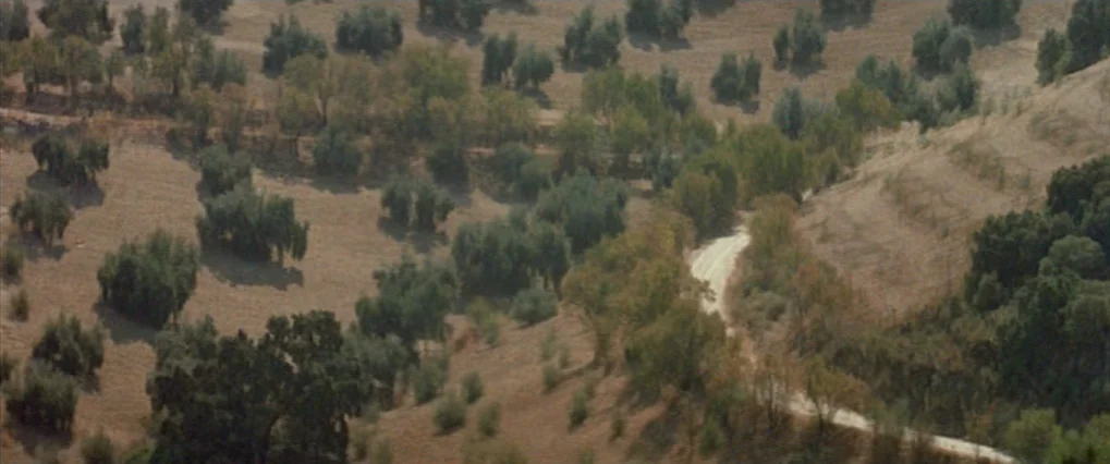 Talk To Her (2002) movie still: establishing — A rural landscape featuring rolling hills dotted with sparse trees and dry grass. A narrow, winding…