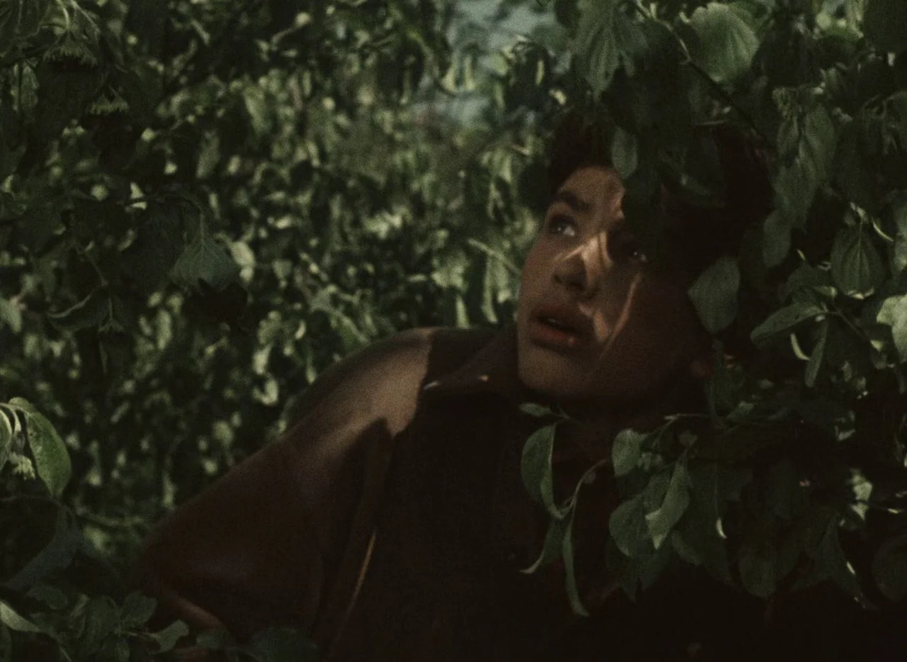 A Journey to the Beginning of Time (1955) movie still: medium — A teenage boy peeks through thick, leafy foliage in a rural natural environment. He…