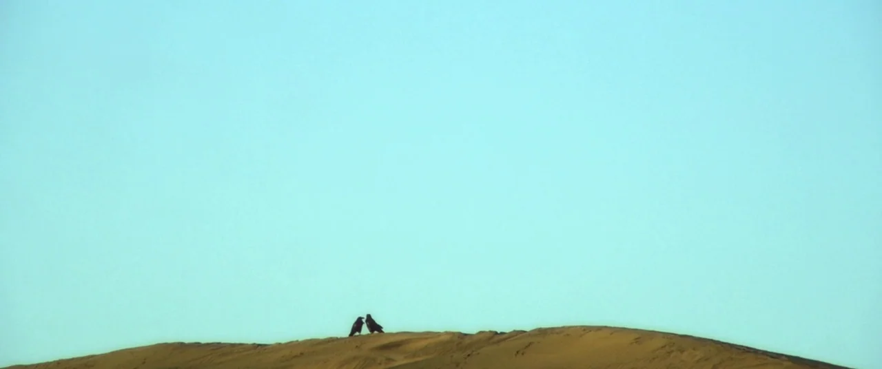 Here Comes The Devil (2012) movie still: wide — A vast sand dune occupies the bottom of the frame against a clear sky. Two small black birds stand…