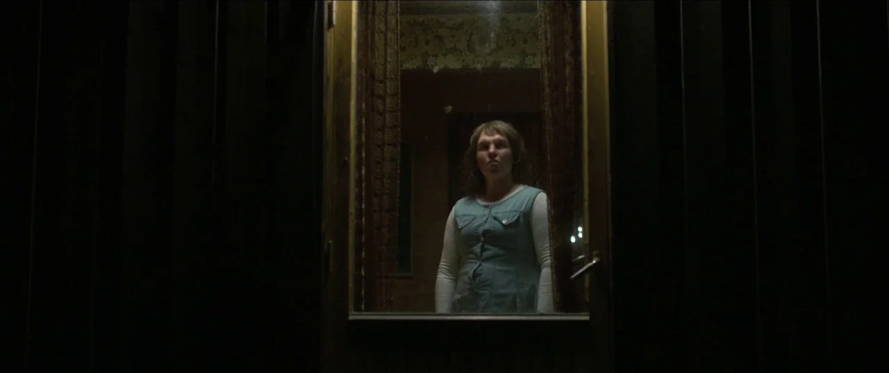 Border movie still: medium — A dark, dimly lit threshold with dark vertical wooden panels framing a central opening. A woman stands in the doorway…