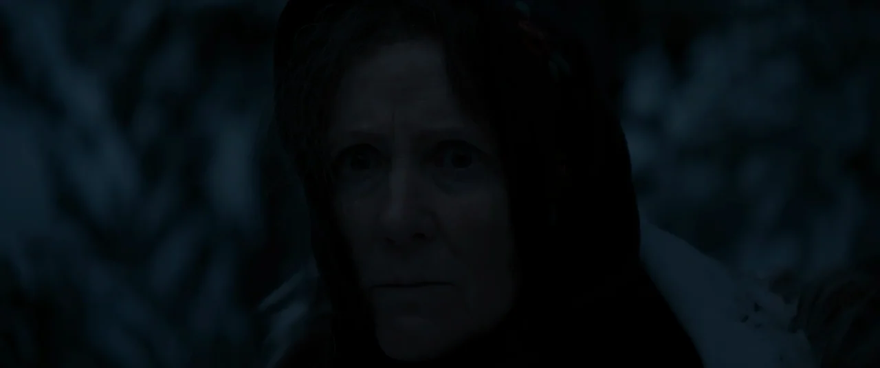 Hagazussa (2017) movie still: closeup — A dark outdoor environment with blurred foliage visible in the out-of-focus background. A woman's face…