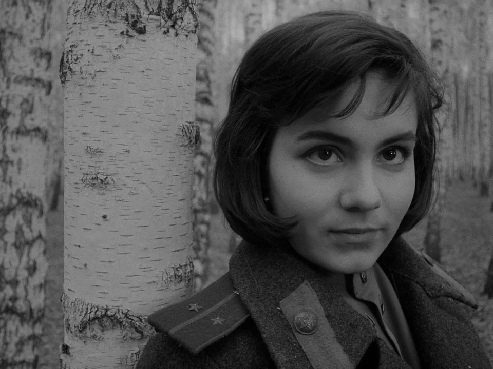 Ivan’s Childhood (1962) movie still: closeup — A dense cluster of silver birch trees stands behind a person outdoors. A young woman wears a heavy…