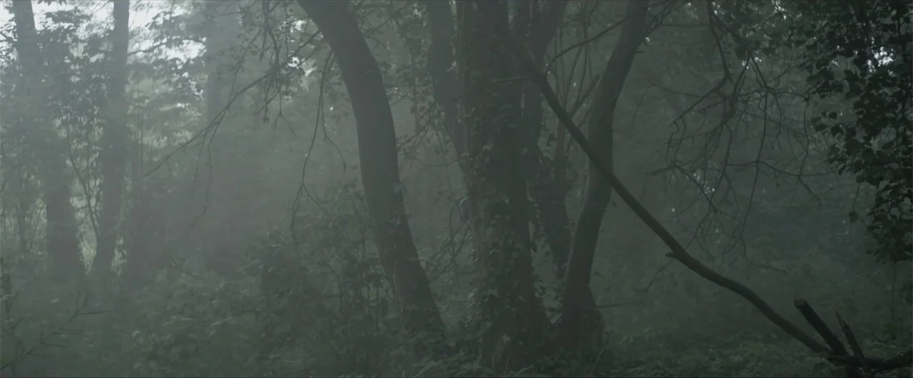 Behind the Line: Escape to Dunkirk (2020) movie still: establishing — A dense patch of woodland filled with heavy atmospheric fog and overgrown…