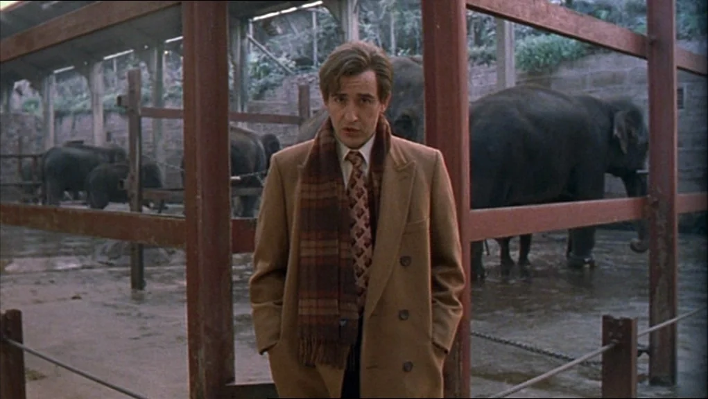 24 Hour Party People movie still: medium — A man stands in front of a metal fenced enclosure containing two large elephants. He faces the camera…