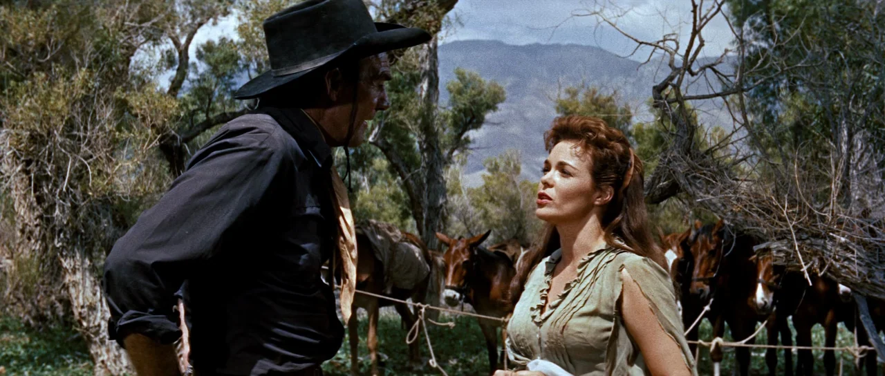 Comanche Station (1960) movie still: medium — An open rural landscape features a tethered horse line among dry trees and brush. A man in a black…