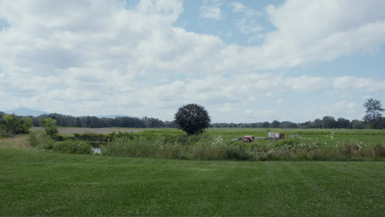 The African Desperate (2022) movie still: establishing — A wide, open green field is bordered by a tree line and distant mountains. A small pond…