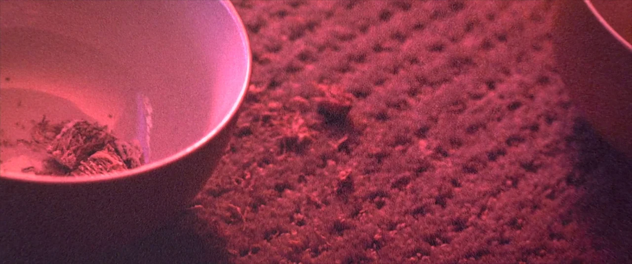 Skinamarink (2022) movie still: closeup — A textured, dark fibrous surface sits next to a pale ceramic bowl. The bowl contains organic debris and is…