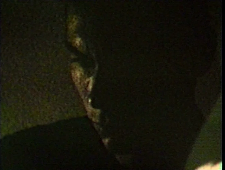The Angelic Conversation (1985) movie still: closeup — A very dark interior environment with extremely low lighting and heavy image noise. A…