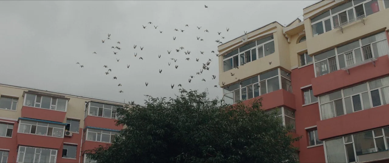The Farewell (2019) movie still: wide — A multi-story residential complex features reddish-brown walls and white window frames under a sky. A large…