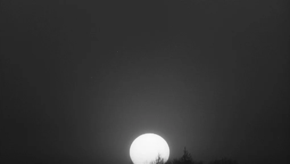Who’s That Knocking At My Door (1967) movie still: establishing — A dark night landscape shows the silhouettes of treetops at the bottom edge. A…